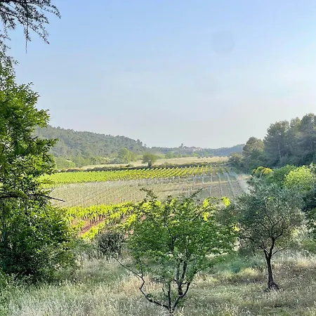 Nyaraló Chateau De Gragnos Saint-Chinian