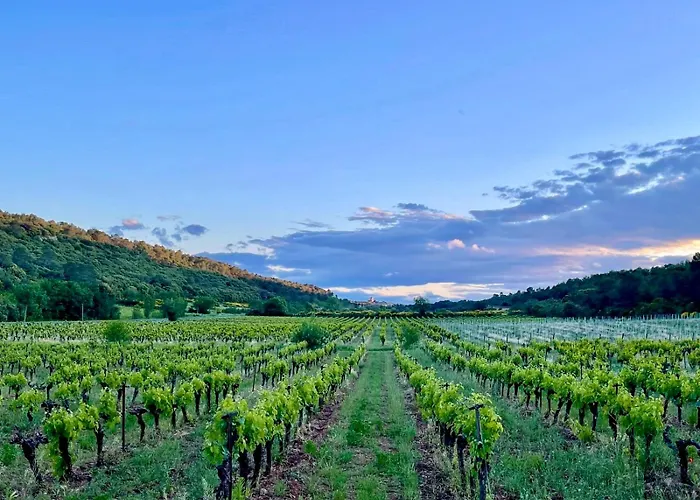 Chateau De Gragnos Vakantiehuis *